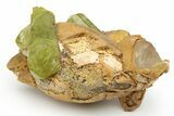 Lustrous, Yellow Apatite Crystals With Calcite - Morocco #221025-1